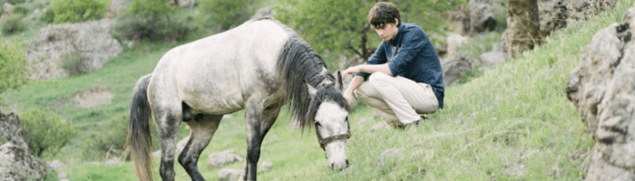 Kräuterhofi hitt-toode: piisav, et mõjuda hobustele, kuid mõeldud siiski inimestele