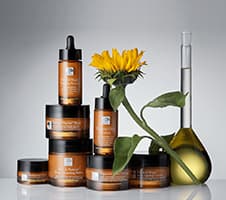 New Nordic – Looduse raviv jõud