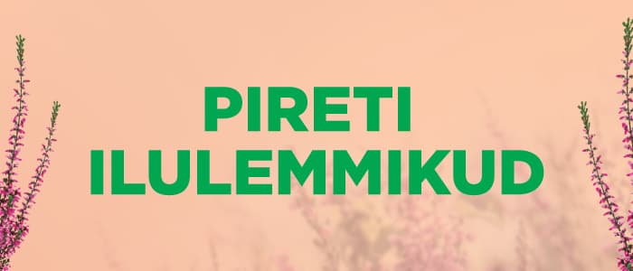 Pireti Ilulemmikud