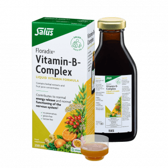 Salus Floradix Vitamiin-B kompleks 250 ml