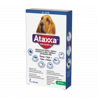 ATAXXA TÄPILAHUS KOER 2000MG+400MG/4ML 4ML (>25KG) N1