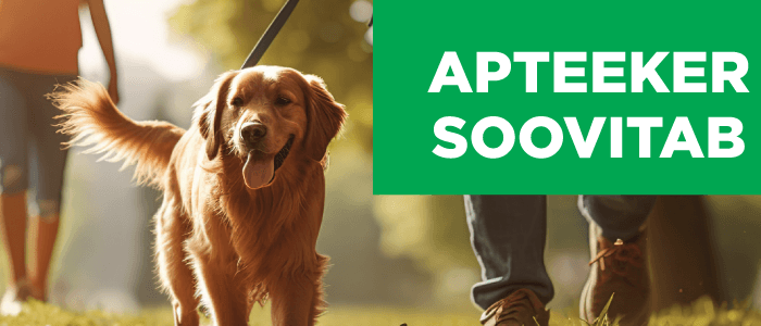 Apteeker soovitab: kuidas kaitsta ennast ja oma neljajalgset sõpra?
